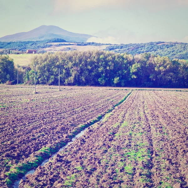 Heuvels van Toscane — Stockfoto