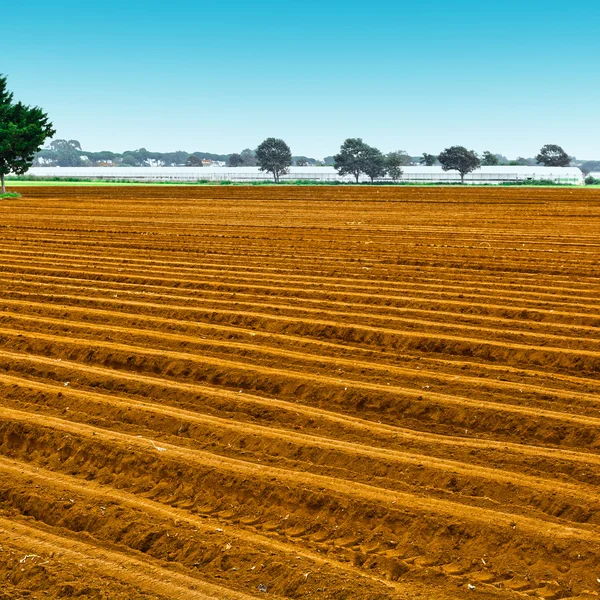 Greenhouse — Stock Photo, Image