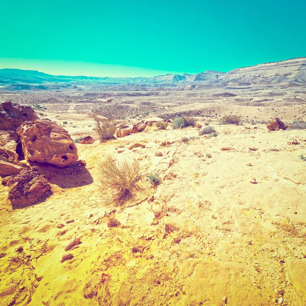 Deserto in Israele — Foto Stock