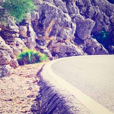 Yol kenarı