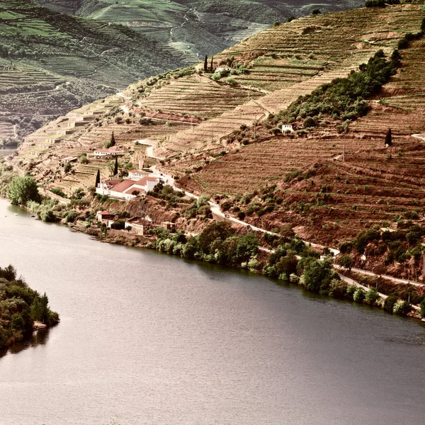 Rzeki douro — Zdjęcie stockowe