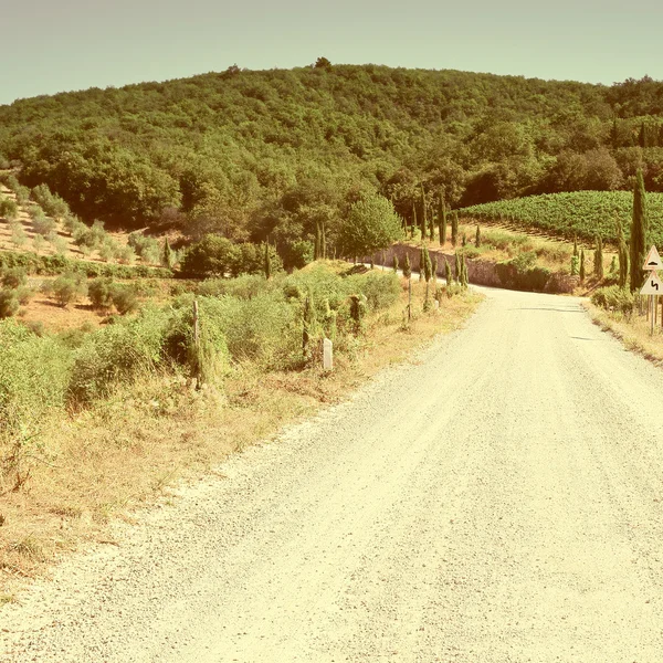 Dirt Road — Stock Photo, Image