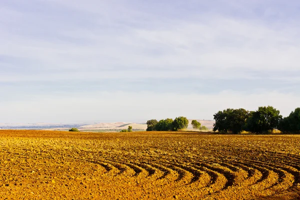 sürülmüş alanlar