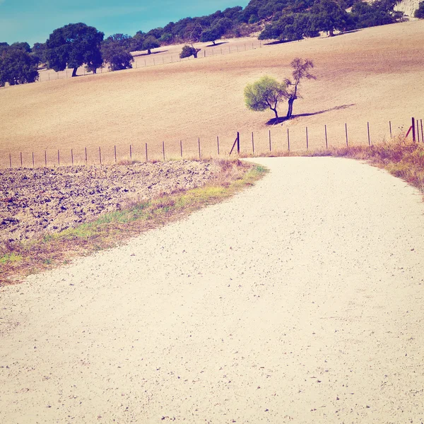 Camino entre colinas — Foto de Stock