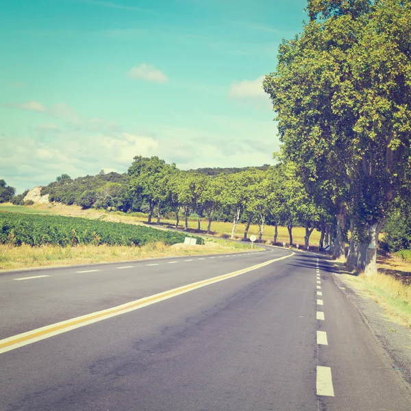 Winding  Road — Stock Photo, Image