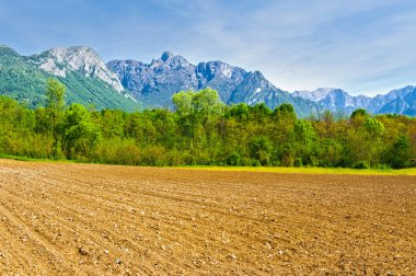 sürülmüş alanlar