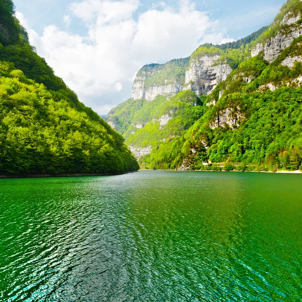 Grünes Wasser — Stockfoto