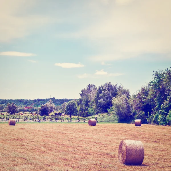 Hay Bales — Stock Photo, Image