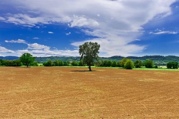 Äcker gepflügt — Stockfoto