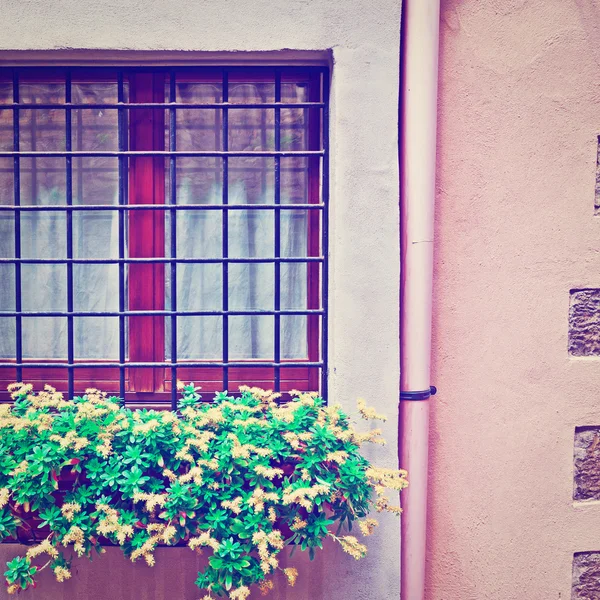 Window — Stock Photo, Image