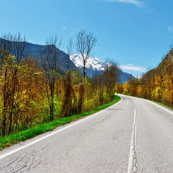 Camino de asfalto — Foto de Stock