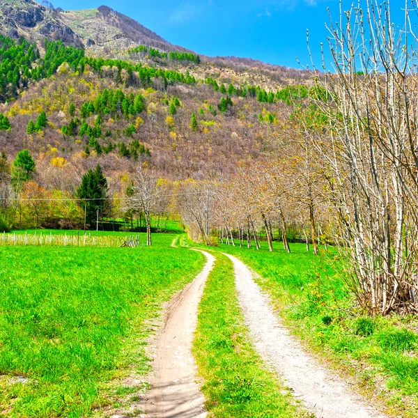 Onverharde weg — Stockfoto