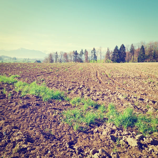 Plowed Fields — Stock Photo, Image