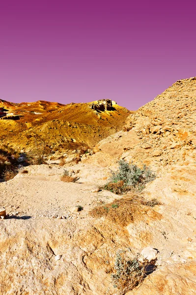 Deserto ao pôr-do-sol — Fotografia de Stock