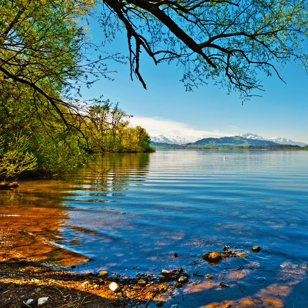 Jezioro Zuger — Zdjęcie stockowe