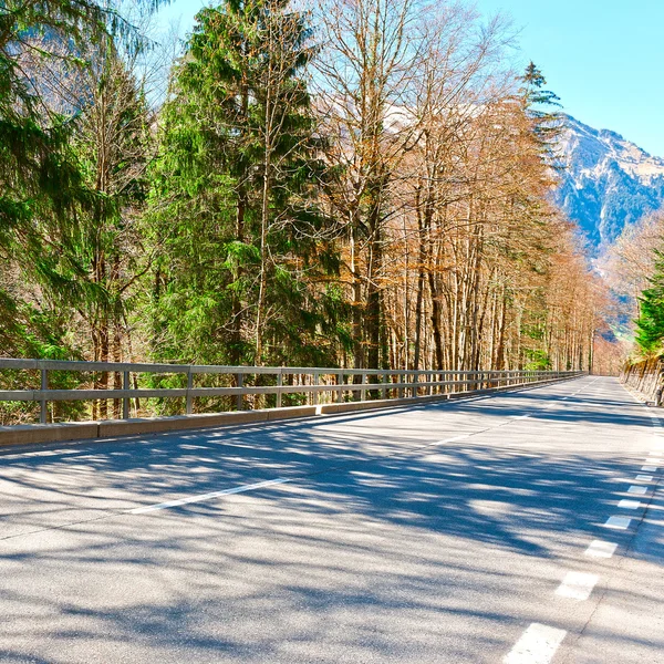 アスファルト道路 — ストック写真