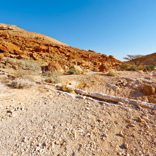 Dry Riverbed — Stock Photo, Image