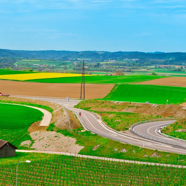 Campi verdi — Foto Stock