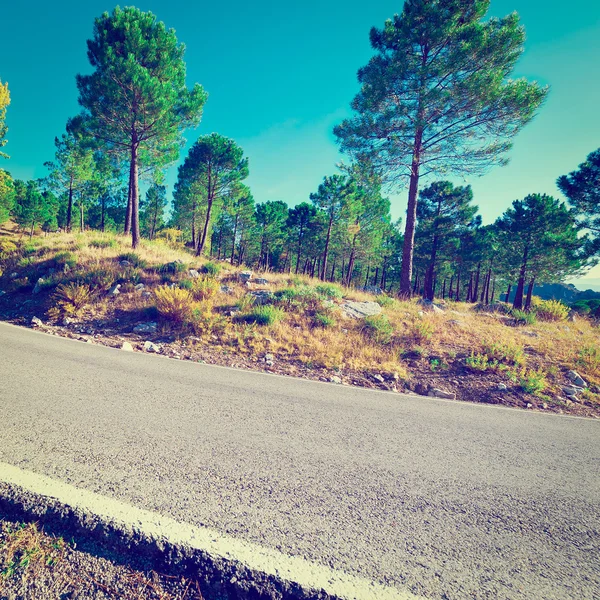 Camino de asfalto — Foto de Stock