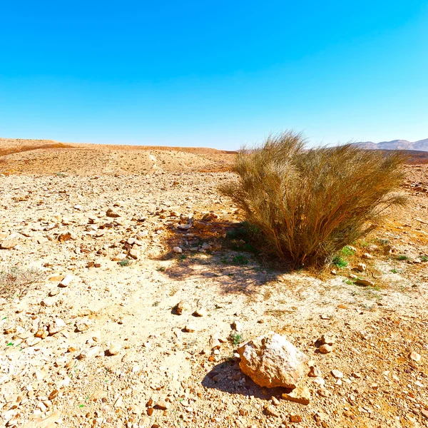 Çöl — Stok fotoğraf