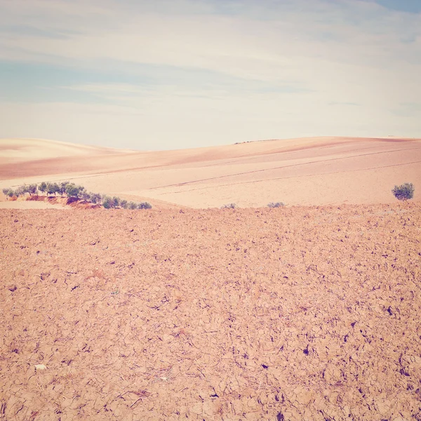 Campo fluido — Foto de Stock