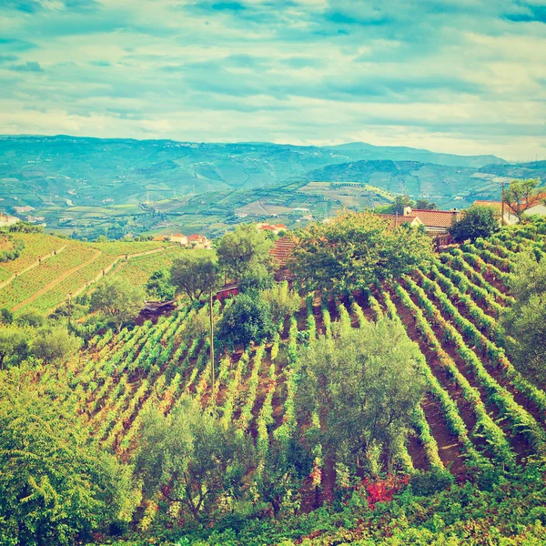 Portugal — Stock Photo, Image