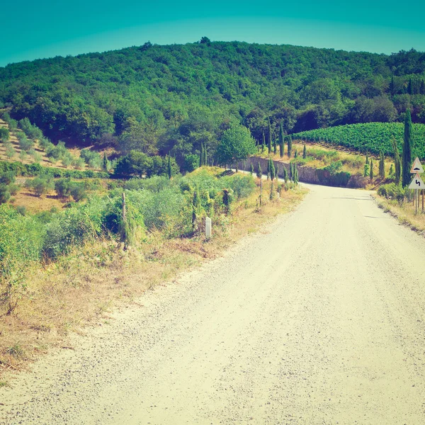 Dirt Road — Stock Photo, Image