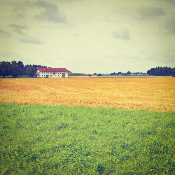 Mown Fields — Stock Photo, Image