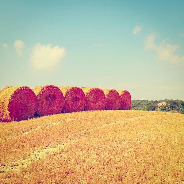 Heuballen — Stockfoto