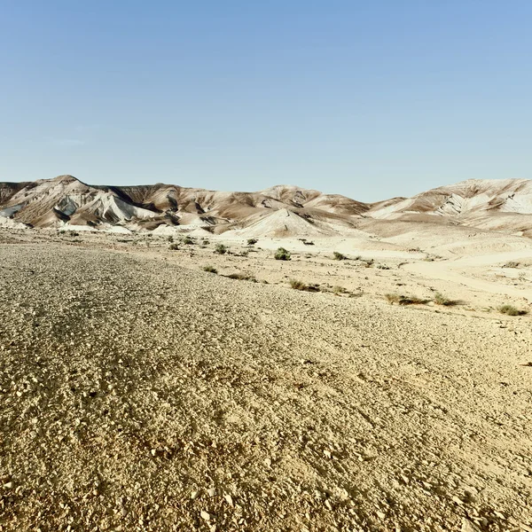 Deserto Giudeo — Foto Stock