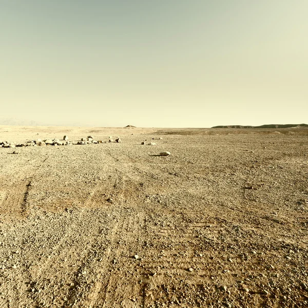 Deserto — Fotografia de Stock