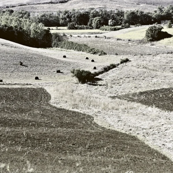 Balíky sena — Stock fotografie