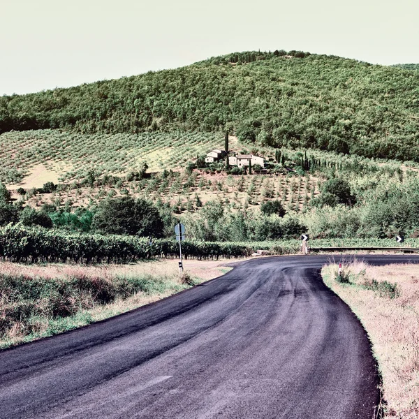 Vägen i Toscana — Stockfoto