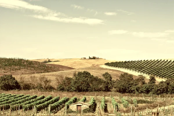 Tuscan τοπίο με αμπελώνες — Φωτογραφία Αρχείου