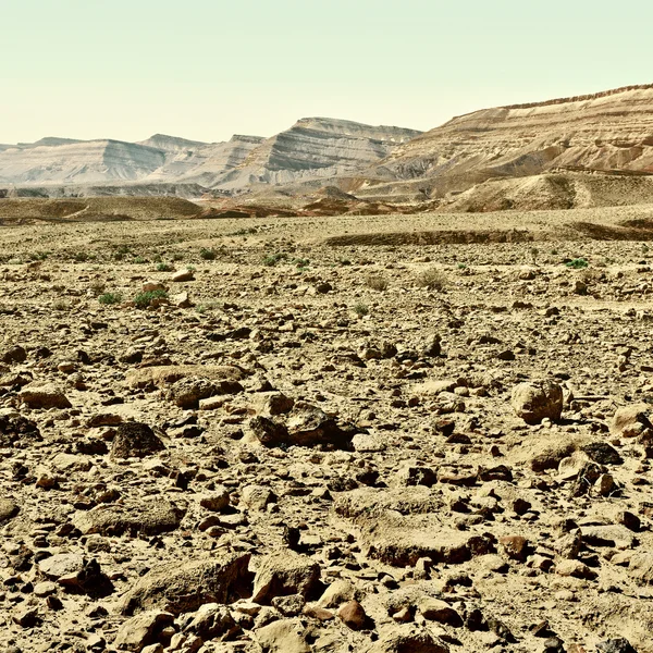 Kráter Negevben — Stock Fotó
