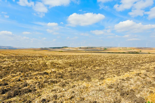 Fields and Turbines — Stock Photo, Image