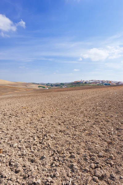 Campo folheado — Fotografia de Stock