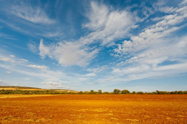 Plowed Fields — Stock Photo, Image