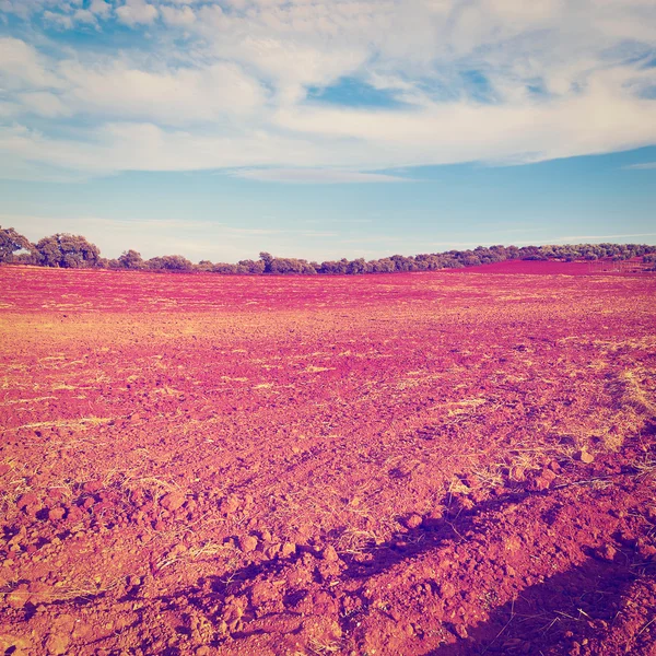 Plowed Fields — Stock Photo, Image