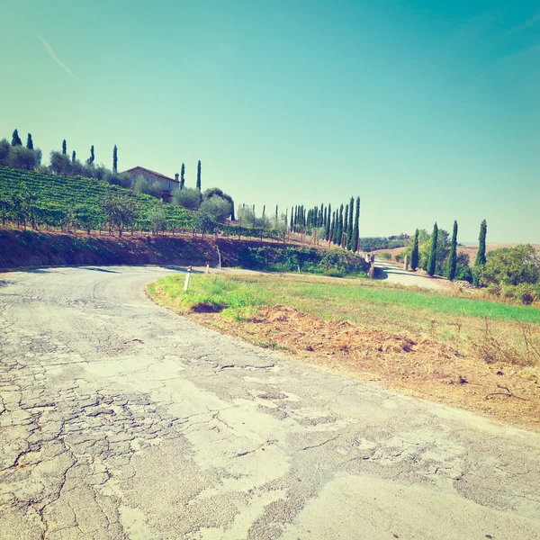 Slingerende verharde weg in de Toscane — Stockfoto