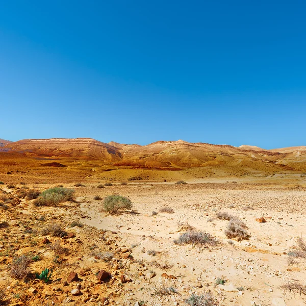 Kayalık Hills — Stok fotoğraf