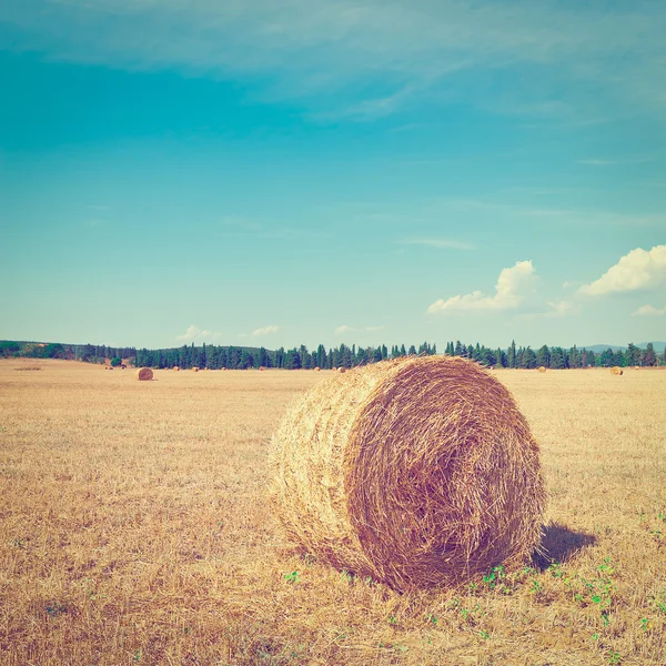 Hay Bales — Stock Photo, Image