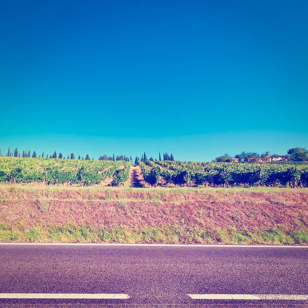 Höstens vingårdar — Stockfoto