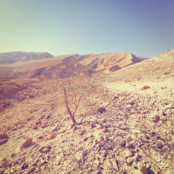 Colline rocciose — Foto Stock