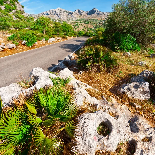 Asphalt Road — Stock Photo, Image