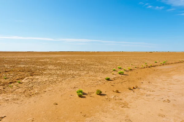 Nature Reserve — Stock Photo, Image