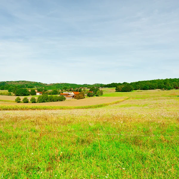 Plantación — Foto de Stock