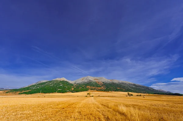 Campos — Fotografia de Stock