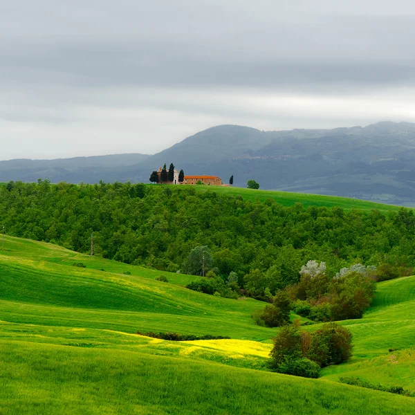 Templom és a zöld lejtős rétek Toszkána — Stock Fotó