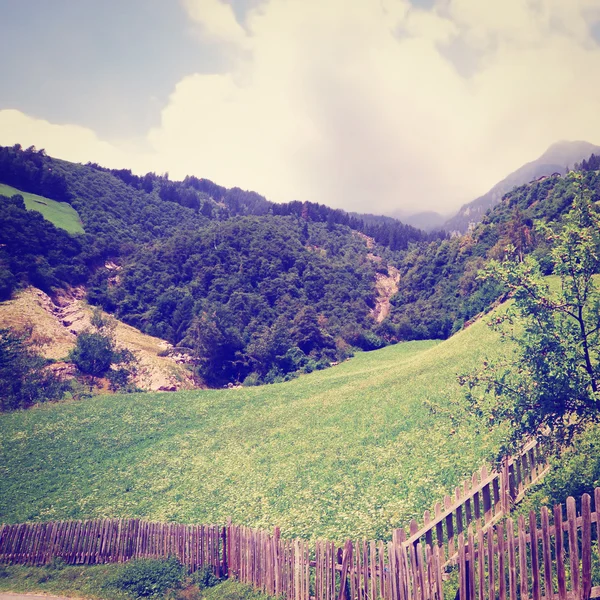 Wooden Fence — Stock Photo, Image